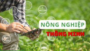 Nông dân mày mò tìm giải pháp nông nghiệp thông minh