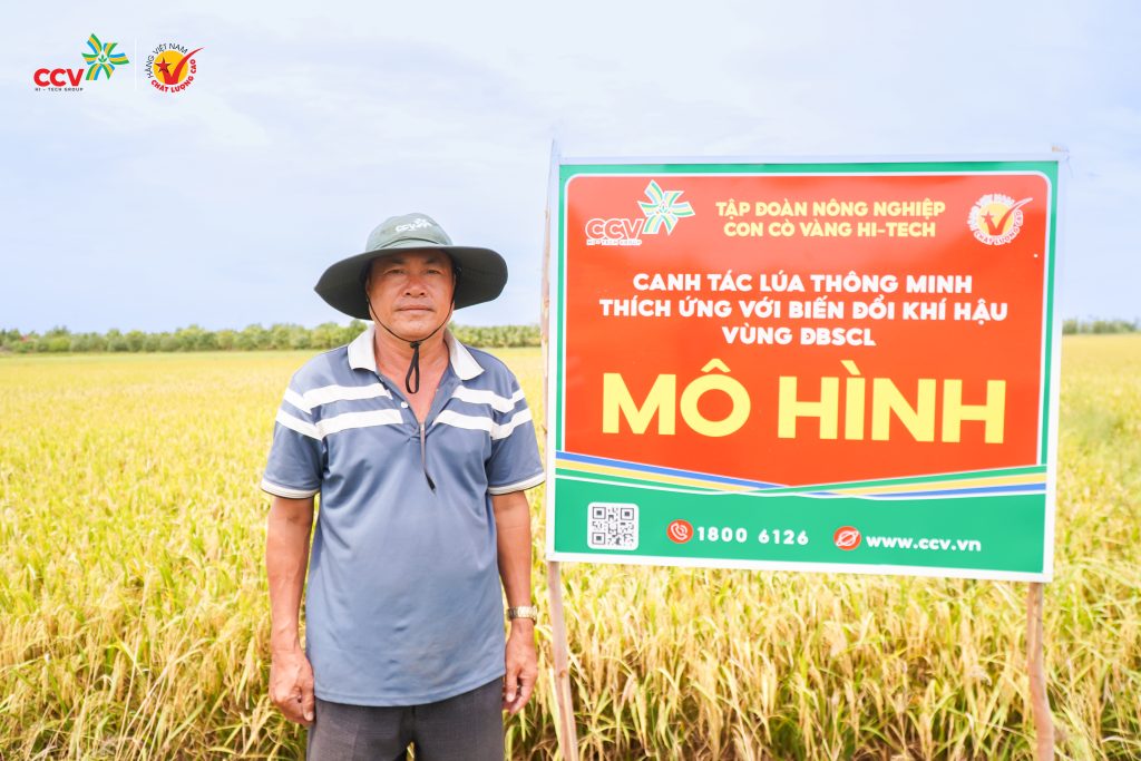 Vai trò của Bệnh viện Nông nghiệp trong dự án 1 triệu ha lúa