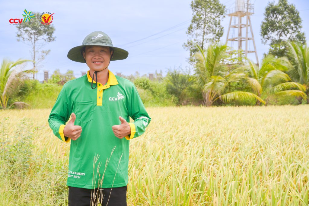 Ý nghĩa của mô hình 1 triệu ha lúa chất lượng cao