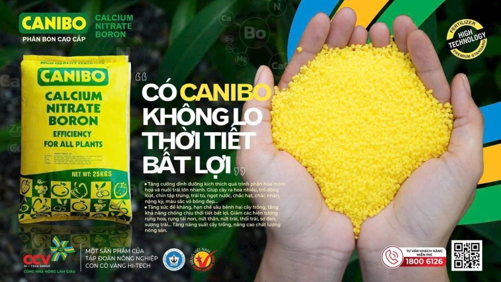 Lợi ích kinh tế khi bổ sung Canxi Bo đúng cách