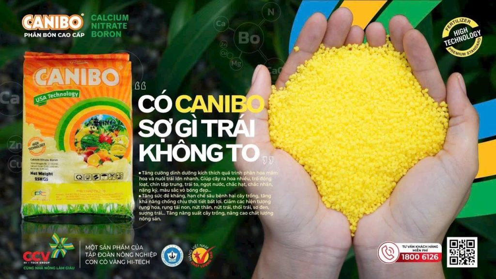 Cách hạn chế rụng trái non bằng Canxi và Bo